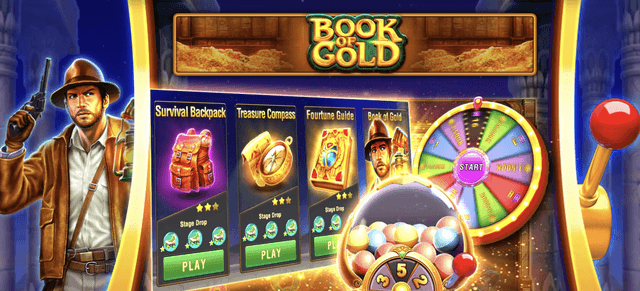 How to Play Book of Gold Game – Rules, RTP & Beginner Tips